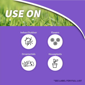 Bonide Systemic Houseplant Insect Control – Protects Indoor & Outdoor Plants from Aphids & Whiteflie -  237 ml