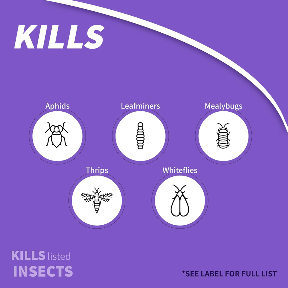 Bonide Systemic Houseplant Insect Control – Protects Indoor & Outdoor Plants from Aphids & Whiteflie -  237 ml